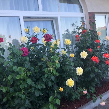 Rezydencja Lux Rewa Ngoại thất bức ảnh